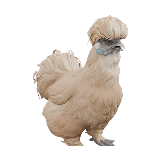 silkie